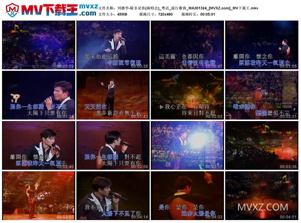 刘德华-除非是你(演唱会)_粤语_流行歌曲_MA301324